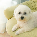 All-Season Elevated Cat Bed – Solid Wood Frame, Durable & Comfortable Pet Lounger