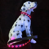 Creative Dog's Paw Printing 7 Colors In One LED Luminous Collar