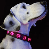 Creative Dog's Paw Printing 7 Colors In One LED Luminous Collar