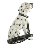 Creative Dog's Paw Printing 7 Colors In One LED Luminous Collar